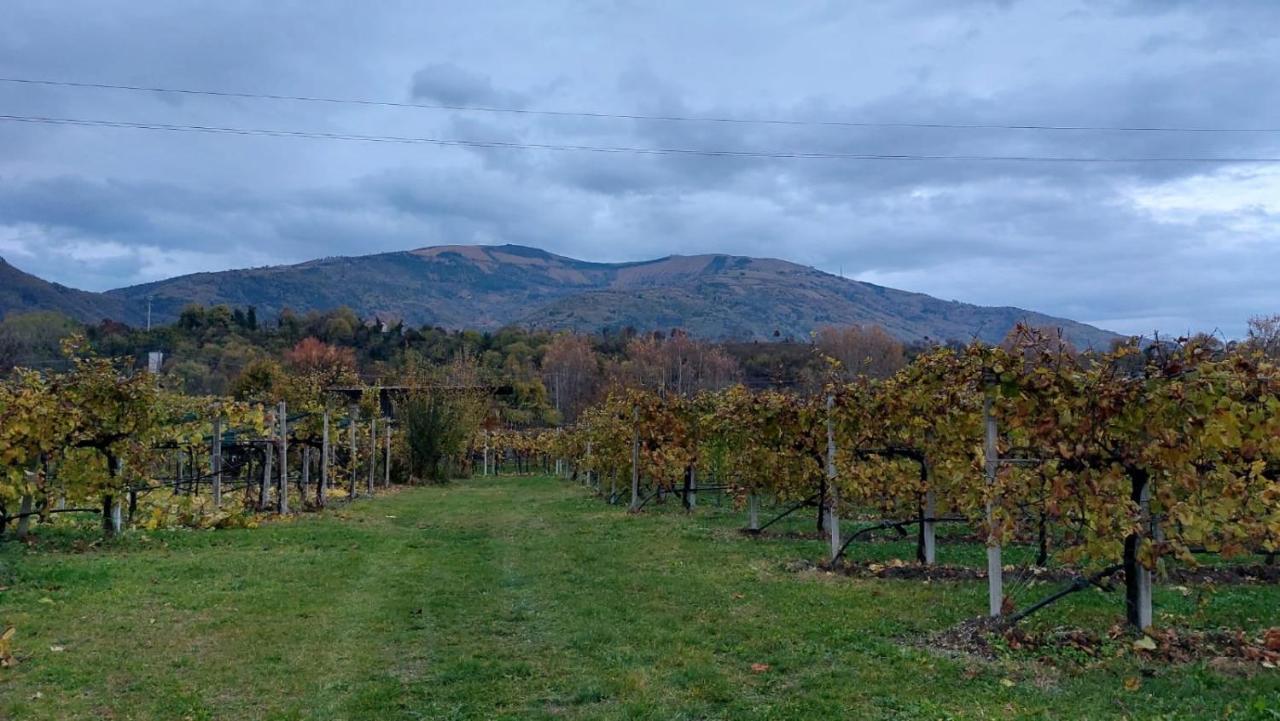 La Caneveta al Piave Valdobbiadene Exterior foto