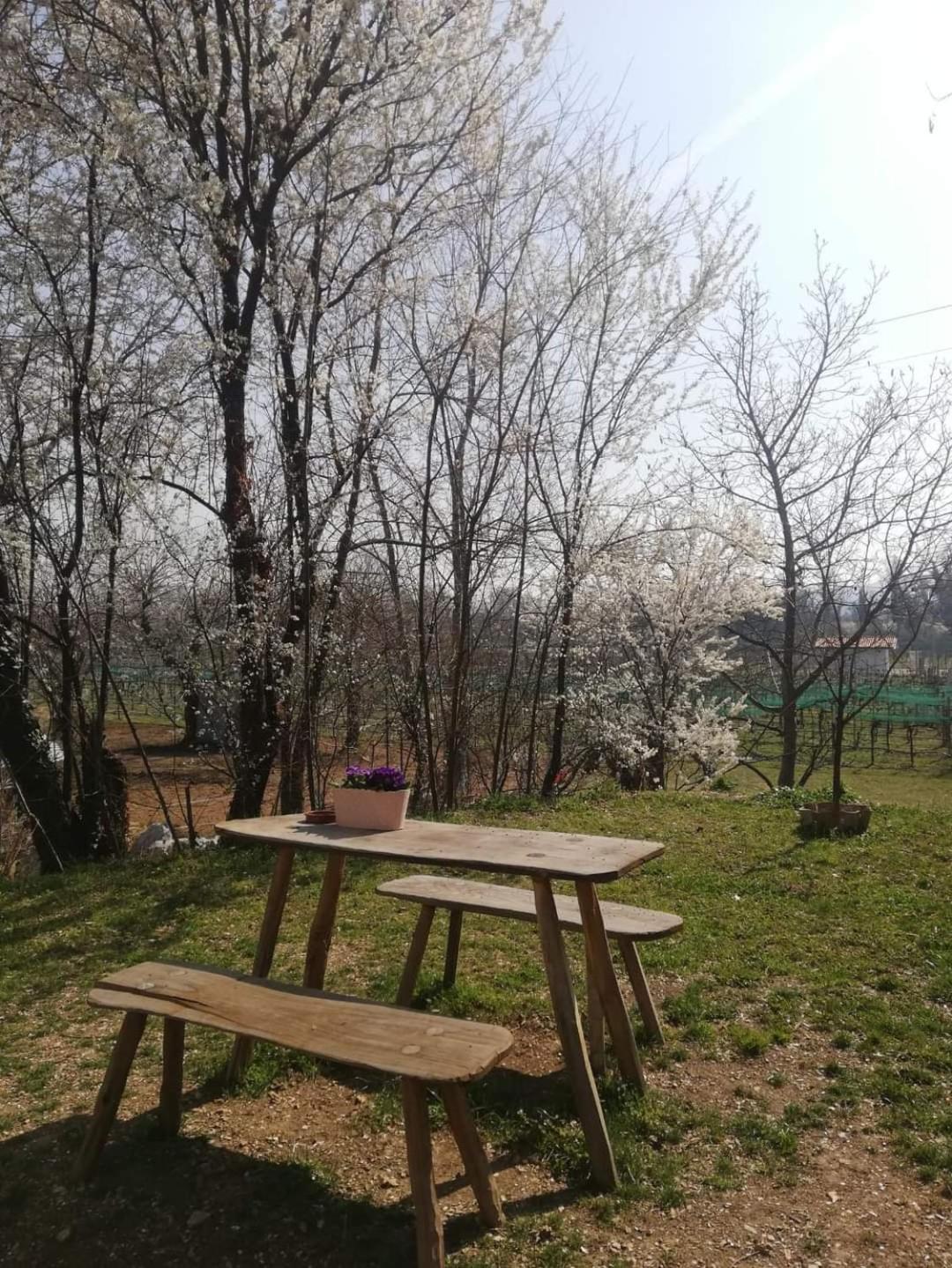 La Caneveta al Piave Valdobbiadene Exterior foto